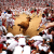 Running of the bulls